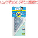 レイメイ藤井 先生 定規 APJ212 1セット【メイチョー】