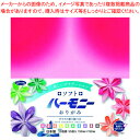 ショウワノート おりがみ 23-1105 55枚【メイチョー】