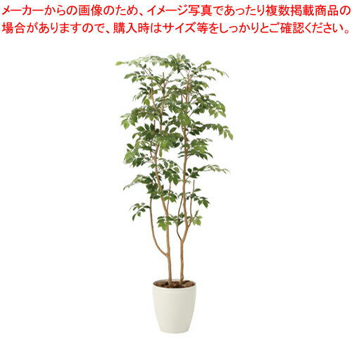 マウンテンアッシュ(人工植物) GF-MA160 1個【メイチョー】