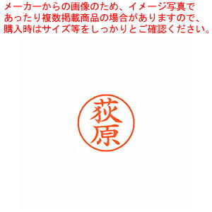 【まとめ買い10個セット品】ネーム9 既製 荻原 XL-9 0617 オギワラ 1本【メイチョー】