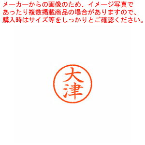 【まとめ買い10個セット品】ネーム6 既製 大津 XL-6 0500 オオツ 1本【メイチョー】