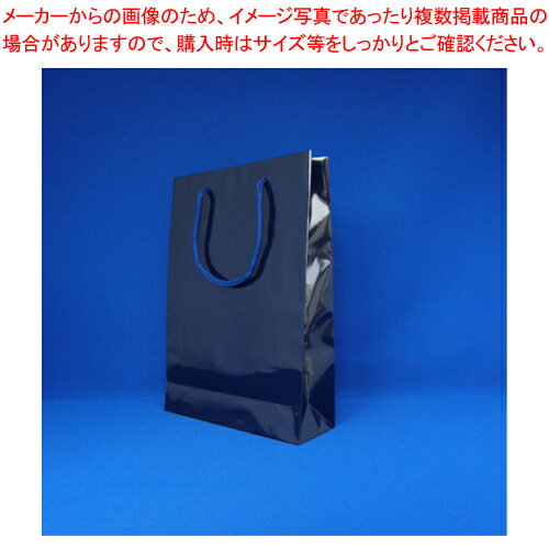 【まとめ買い10個セット品】ブライトバッグ SWT 6138223 シコン 1枚【メイチョー】