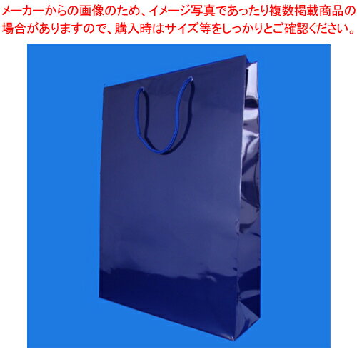 【まとめ買い10個セット品】ブライトバッグ G2 6138023 シコン 1枚【メイチョー】