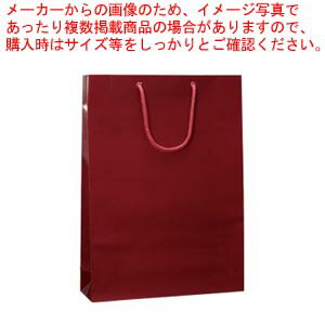 ֥饤ȥХå G2 6138002  1  Хå Ȼ 鴶  PPŽ ˶    å ץ쥼  ...