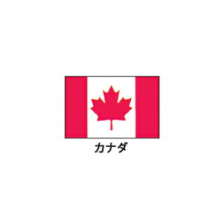 旗(世界の国旗) エクスラン国旗 カナダ 取り寄せ商品【メイチョー】
