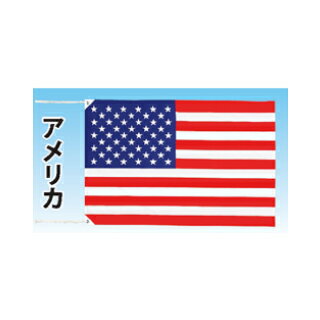 テトロン世界の国旗　アメリカ【メイチョー】
