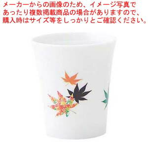 温感白カップ 紅葉 小 B52-09【メイチョー】