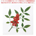 ミリオンフィルムシート(1000枚入)南天【メイチョー】(3)