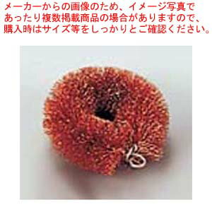 【まとめ買い10個セット品】メタロンプリンス タワシ S 抗菌【メイチョー】