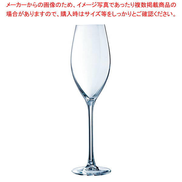 シークエンス フルート 24 P3787(6個入) 【メイチョー】