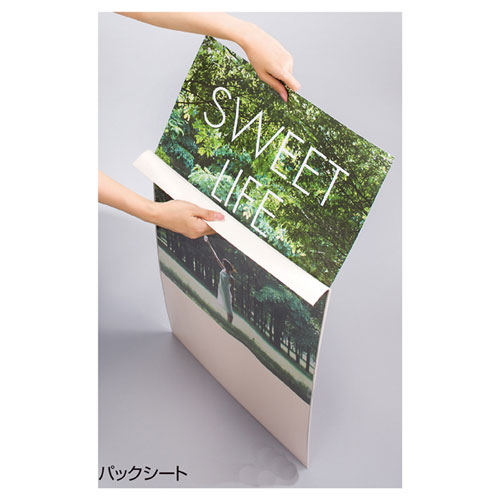 【まとめ買い10個セット品】屋外型フロントオープンパネル パックシート A2用 61-220-16-1 【 サイン・..