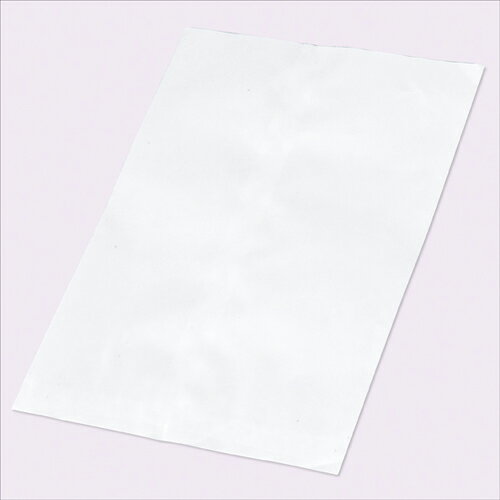 【まとめ買い10個セット品】紙袋 平袋 白 無地 18×24.5cm 100枚 61-304-10-6 【 ラッピング用品 紙袋 平袋 平袋 白無地 】【 ラッピング用品 包装 ラッピング袋 紙袋 ペーパーバッグ 消耗品 業務用 】【メイチョー】