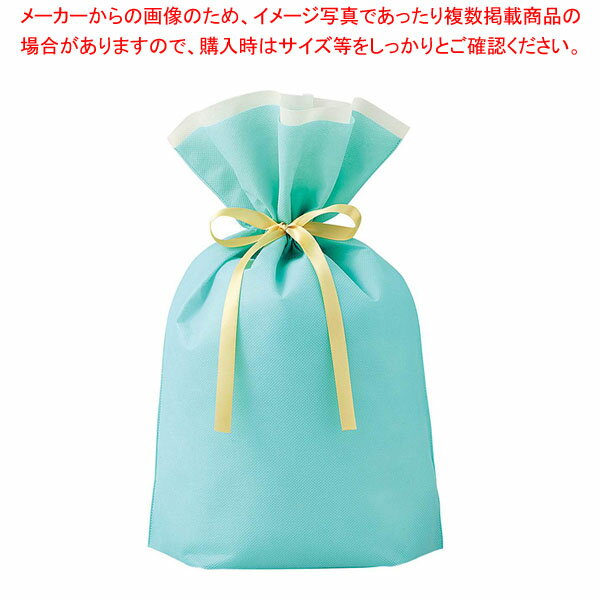 【10枚】不織布リボン付きギフトバ�