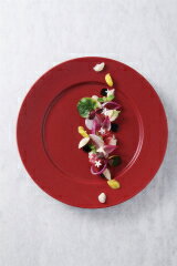 和食器 赤銅 12インチリムプレート 37K398-11 まごころ第37集 【キャンセル/返品不可】【メイチョー】