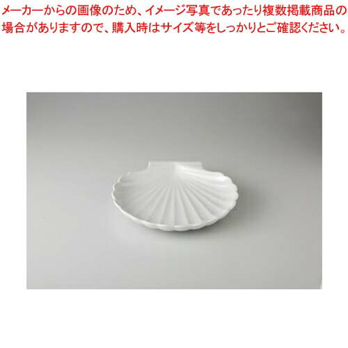 【まとめ買い10個セット品】和食器 シェル 3.6皿 37F421-04 まごころ第37集 【キャンセル/返品不可】【メイチョー】