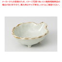 貫入 木の葉珍味 37K137-34【メイチョー】