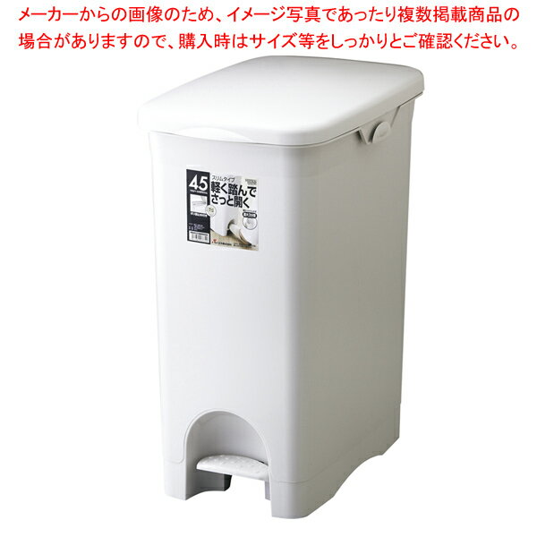 H&H ڥڡ 45PS ڥᥤ硼