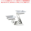 【まとめ買い10個セット品】スワンライザー シルバー SM221【メイチョー】