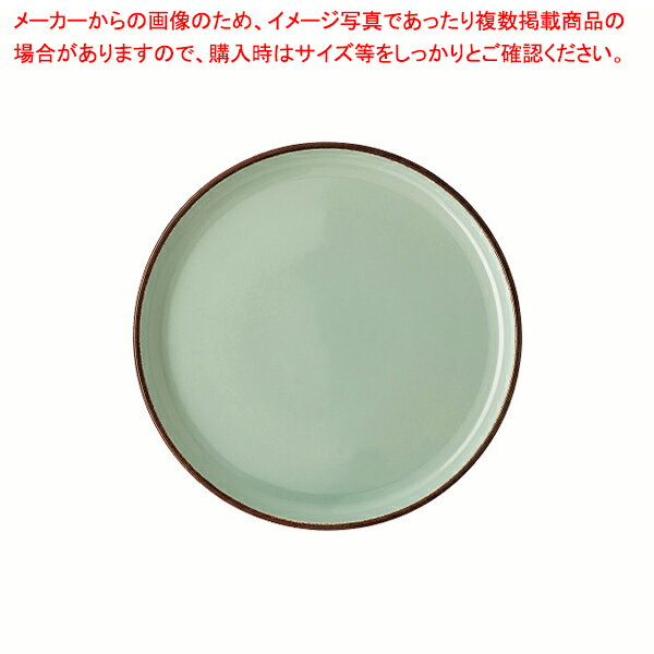 アースプレート 27cm ミント 405406-30027 【メイチョー】