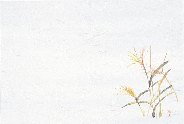 M30-214　四季紙　千寿　すすき　100枚入【メイチョー】(3)