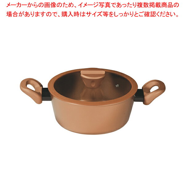 VISIONS GOLD Coating IH対応シチューポッ