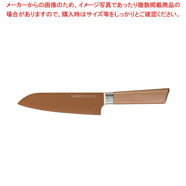 VISIONS GOLD Coating �����ʥ���165 �ڥᥤ���硼��