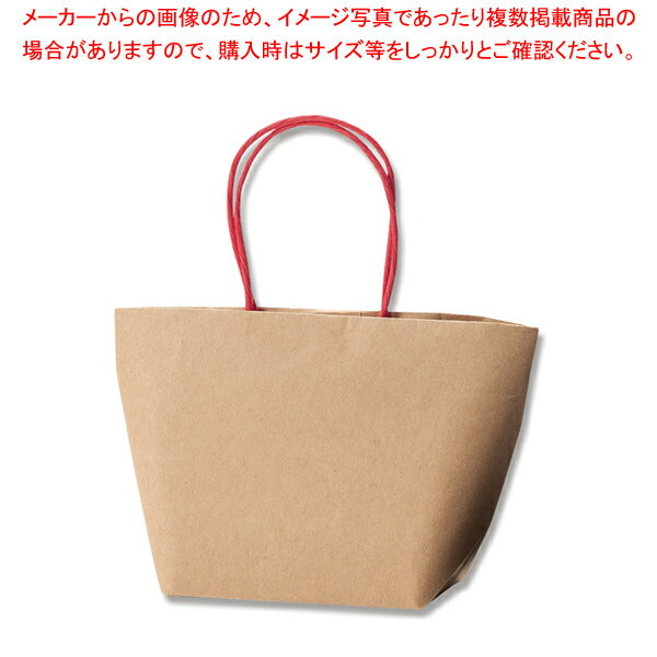 【まとめ買い10個セット品】HEIKO プチバッグF9-6 未晒無地 10枚【メイチョー】