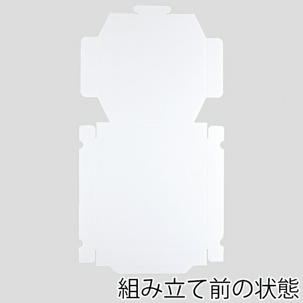 SWAN スワン ピザ箱 10インチ用 白無地 25枚【メイチョー】 3