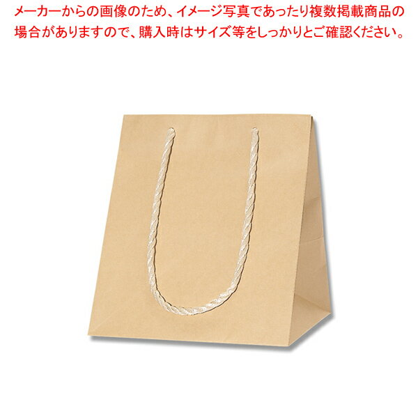 HEIKO アレンジバッグ SS 未晒無地 10枚【メイチョー】