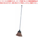 【まとめ買い10個セット品】 オークランド シダホーキ 長柄【ほうき】【メイチョー】(3)