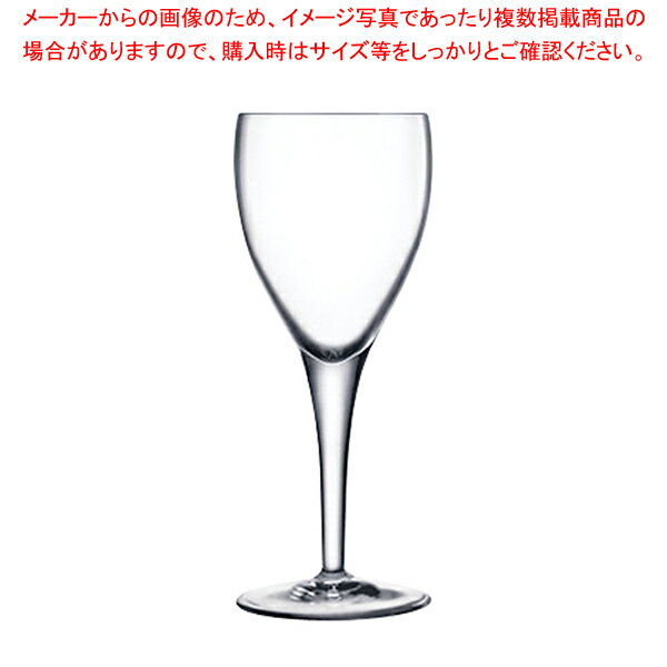 【まとめ買い10個セット品】ミケランジェロ ホワイトワイン(6ヶ入) 10285/03【人気 おすすめ 業務用 販売 楽天 通販】【メイチョー】