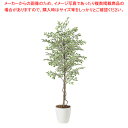 SG ベンジャミナ スターライト 90718 2.0m【人工樹木 作り物】【厨房用品 調理器具 料理道具 小物 作業 厨房用品 調理器具 料理道具 小物 作業 ...