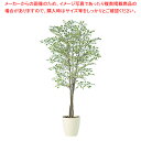 SG ベンジャミナ スターライトトリプル 90724 2.0m【人工樹木 作り物】【厨房用品 調理器具 料理道具 小物 作業 厨房用品 調理器具 料理道具 小物...