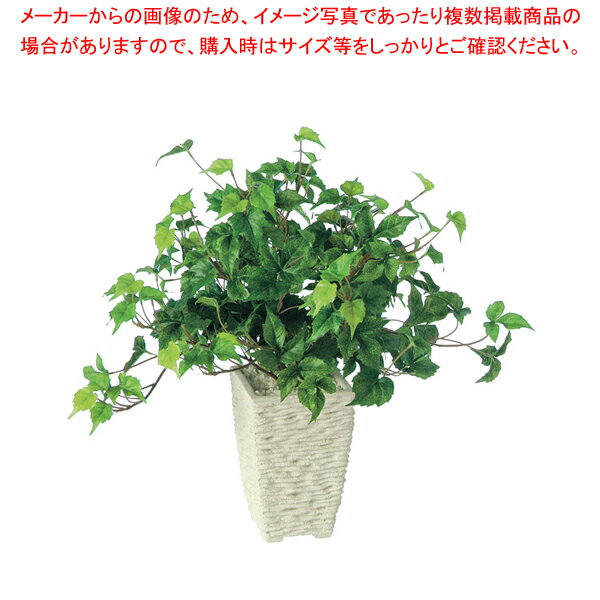 SG シサス R 90803【人工樹木 作り物】【厨房用品 調理器具 料理道具 小物 作業 厨房用品 調理器具 料..