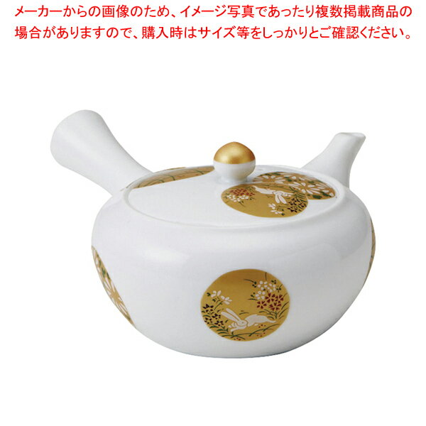 M066-03 金彩丸紋急須【メイチョー】