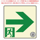 【まとめ買い10個セット品】避難口・通路誘導標識ステッカー (中輝度蓄光式)TSN961【メイチョー】