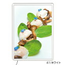 MGライトパネルカスタム 屋内外 A1 シルバー【メイチョー】