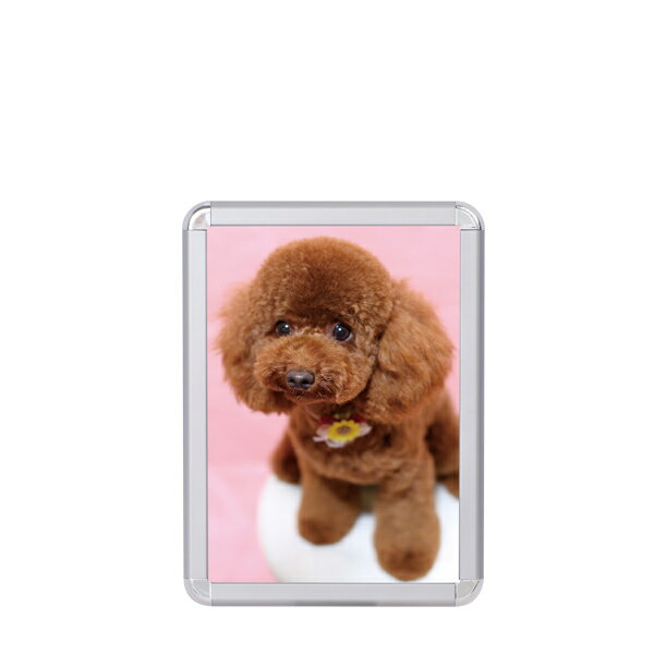 メディアグリップ (MG-25R) B4 シルバー 屋内【メイチョー】