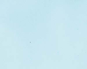 【まとめ買い10個セット品】 オ746-718 色彩耐油紙TA-C18BN ライトブルー 6寸【キャンセル/返品不可】【メイチョー】