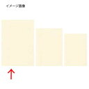 シンビ 中紙 洋-21 ベージュ【メイチョー】