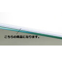 木棚/ガラス棚兼用スライドレール W120cm用 スライドレール 10本 61-38-8-2 【システム什器 システムオプション 木棚パーツ 木棚/ガラス棚兼用...