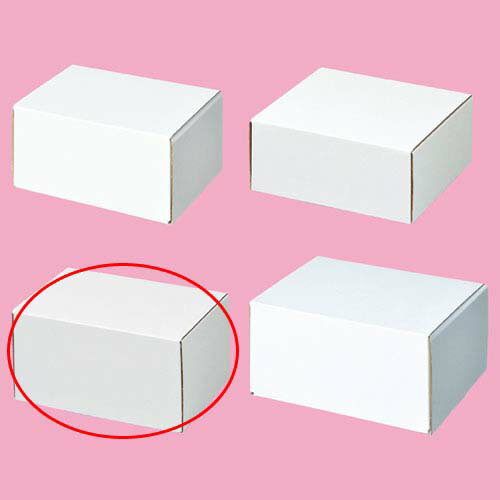 �ڤޤȤ��㤤10�ĥ��å��ʡۥե꡼�ܥå��� 16.2��12��8.3 10�� 61-286-2-9 ��Ź�޽��� ��ʪ �ǥ����ץ졼 ���ե� ��åԥ� ������ ��...