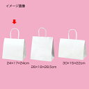 【まとめ買い10個セット品】丸ひもタイプ 白無地 24×17×24 200枚 61-431-25-13 【店舗什器 小物 ディスプレー ギフト ラッピング 包装...