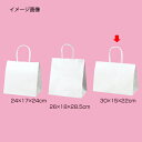 【まとめ買い10個セット品】丸ひもタイプ 白無地 30×15×22 50枚 61-431-25-3 【店舗什器 小物 ディスプレー ギフト ラッピング 包装紙 ...