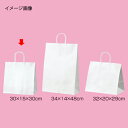 丸ひもタイプ 白無地 30×15×30 50枚 61-431-25-4 【店舗什器 小物 ディスプレー ギフト ラッピング 包装紙 袋 消耗品 店舗備品】【メイ...