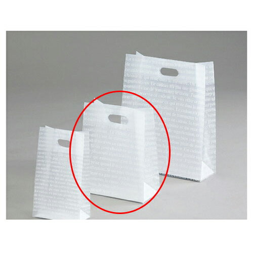 フロストバッグ(抜き手) 22×11.5×28 30枚 61-268-13-2 【店舗備品 包装紙 ラッピング 袋 ディスプレー..