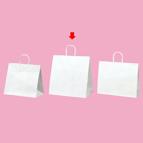 【まとめ買い10個セット品】丸ひもタイプ 白無地 38×25×39.5 50枚 61-431-25-8 【店舗備品 包装紙 ラッピング 袋 ディスプレー店舗】【メイチョー】