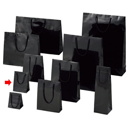 【まとめ買い10個セット品】ブライトバッグ ブラック 12×7×16.5 10枚 61-314-2-4 【店舗備品 包装紙 ラッピング 袋 ディスプレー店舗】【メイチョー】
