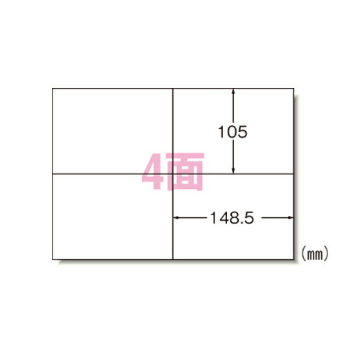 エーワン PPC(コピー)ラベル 28271 100枚【厨房館】