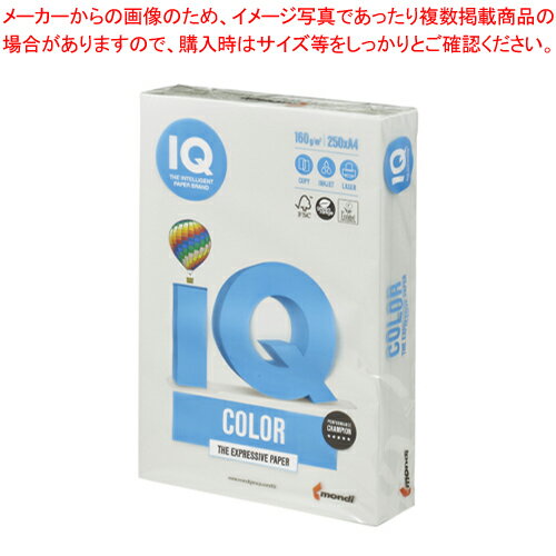 バイオトップカラー A4判 250枚 BT809 グレー 1冊【厨房館】